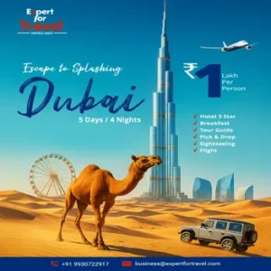 Dubail_travel